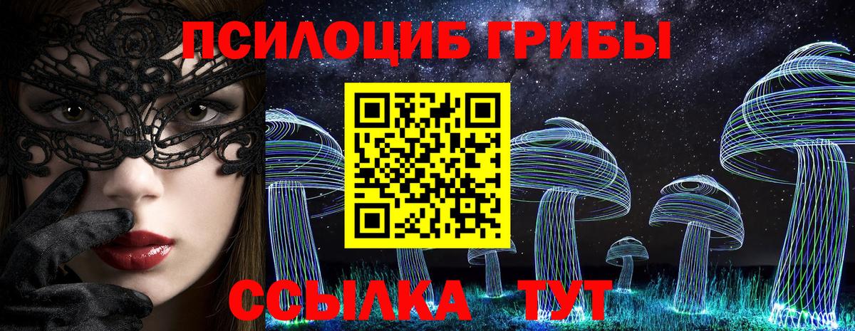Псилоцибиновые грибы Magic Shrooms  закладки  Каменка  Псилоцибиновые грибы Cubensis  Вход с VPN 