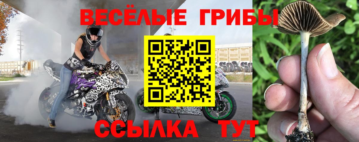 Галлюциногенные грибы ЛСД Каменка